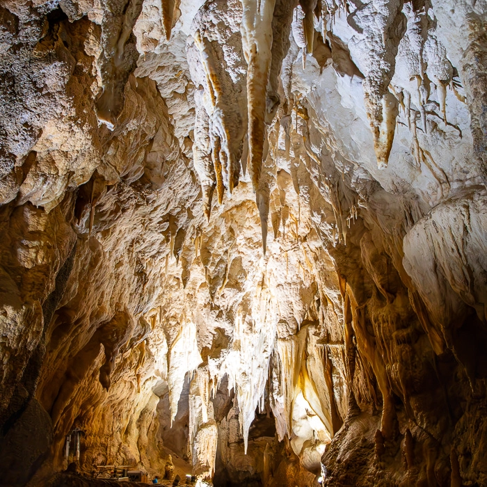 Waitomo-1_thumb.webp